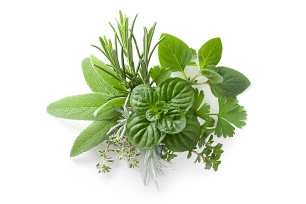 Herbs-1.jpg