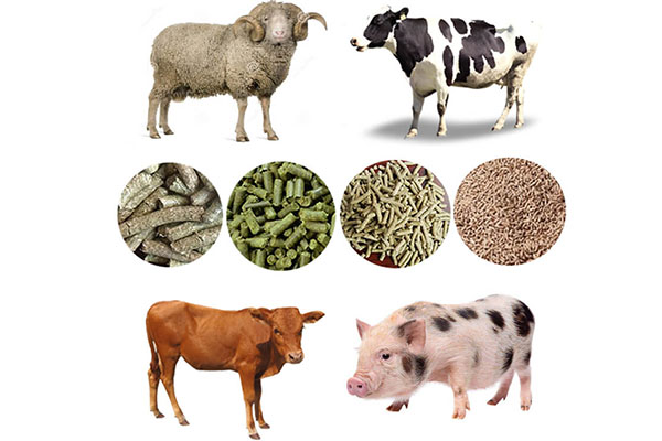 animal-feed-pellets-1-3.jpg