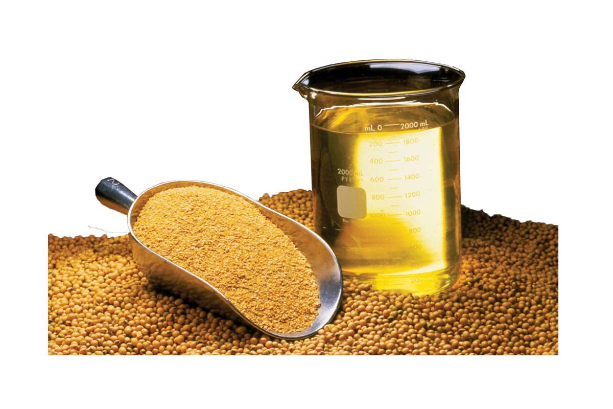 Soya Bean Oil Cake / Meal Of Soya Bean Expeller Plant at Rs 150/kg | Oil  Seeds And Oil Cakes in Ahmedabad | ID: 23004311455